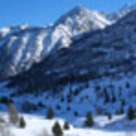 Nizam's Mediterranean Cuisine